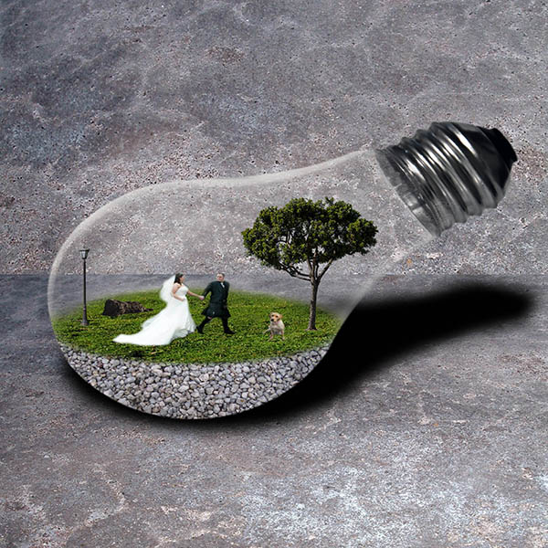 Lightbulb Composite Image